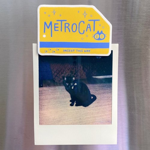 Metrocat Magnet