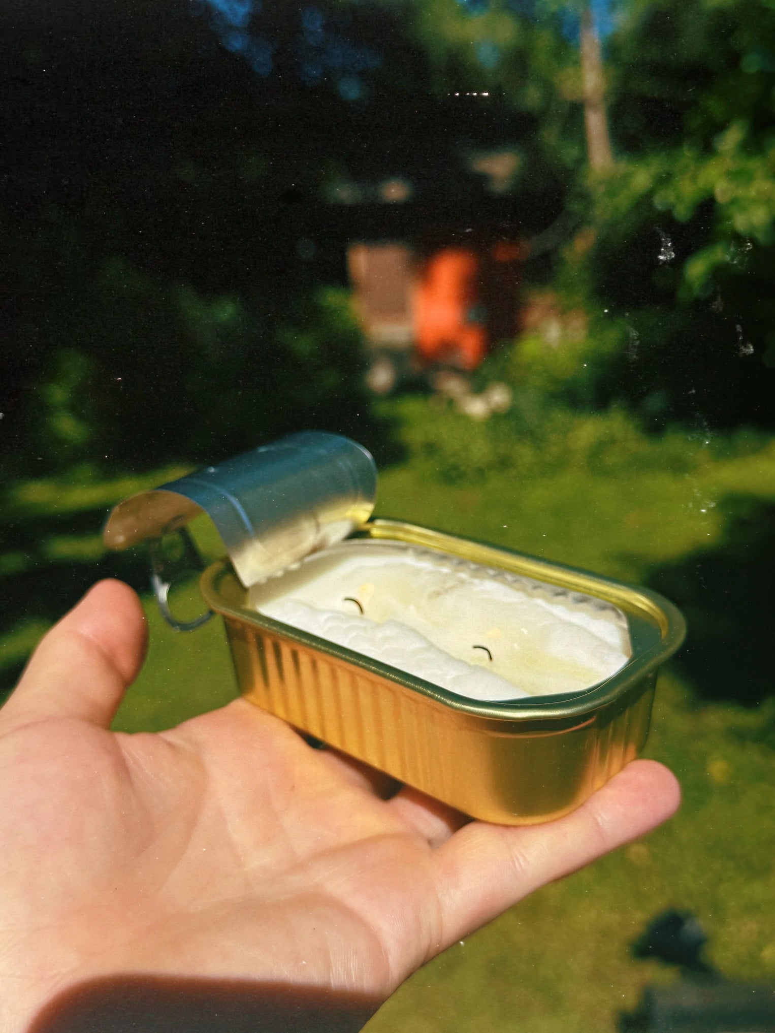 Tinned Fish Candles