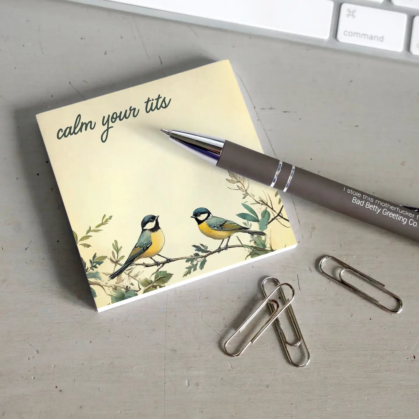 Funny + Sarcastic Sticky Note Pads