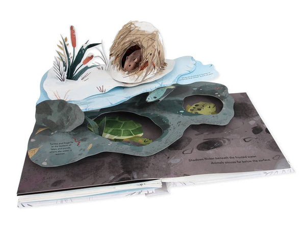 Snowscape: A Winter Pop-Up Book