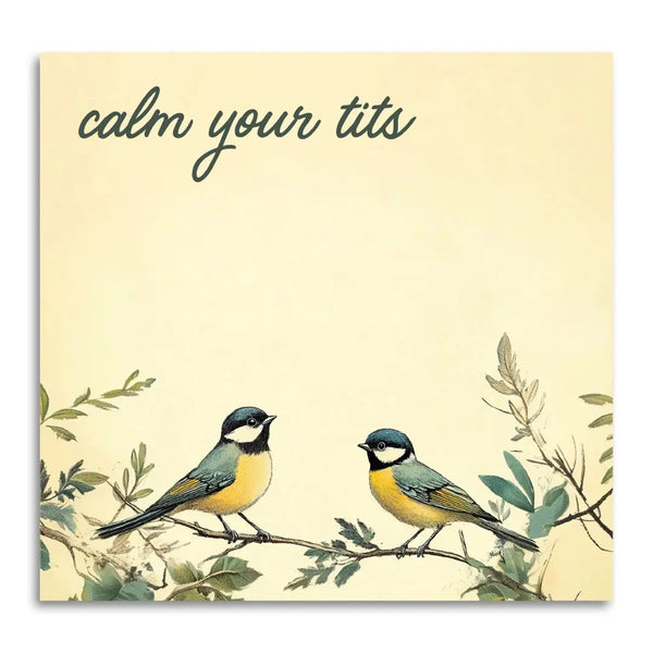 Funny + Sarcastic Sticky Note Pads
