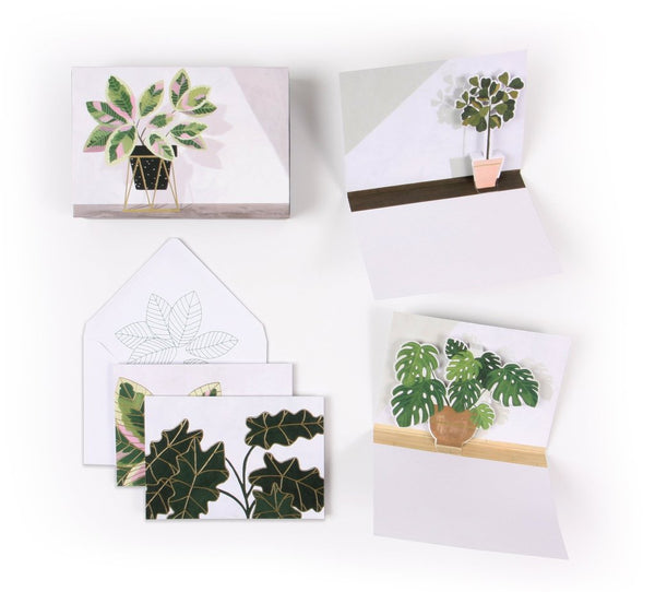 Pop-Up Boxed Notes Sets