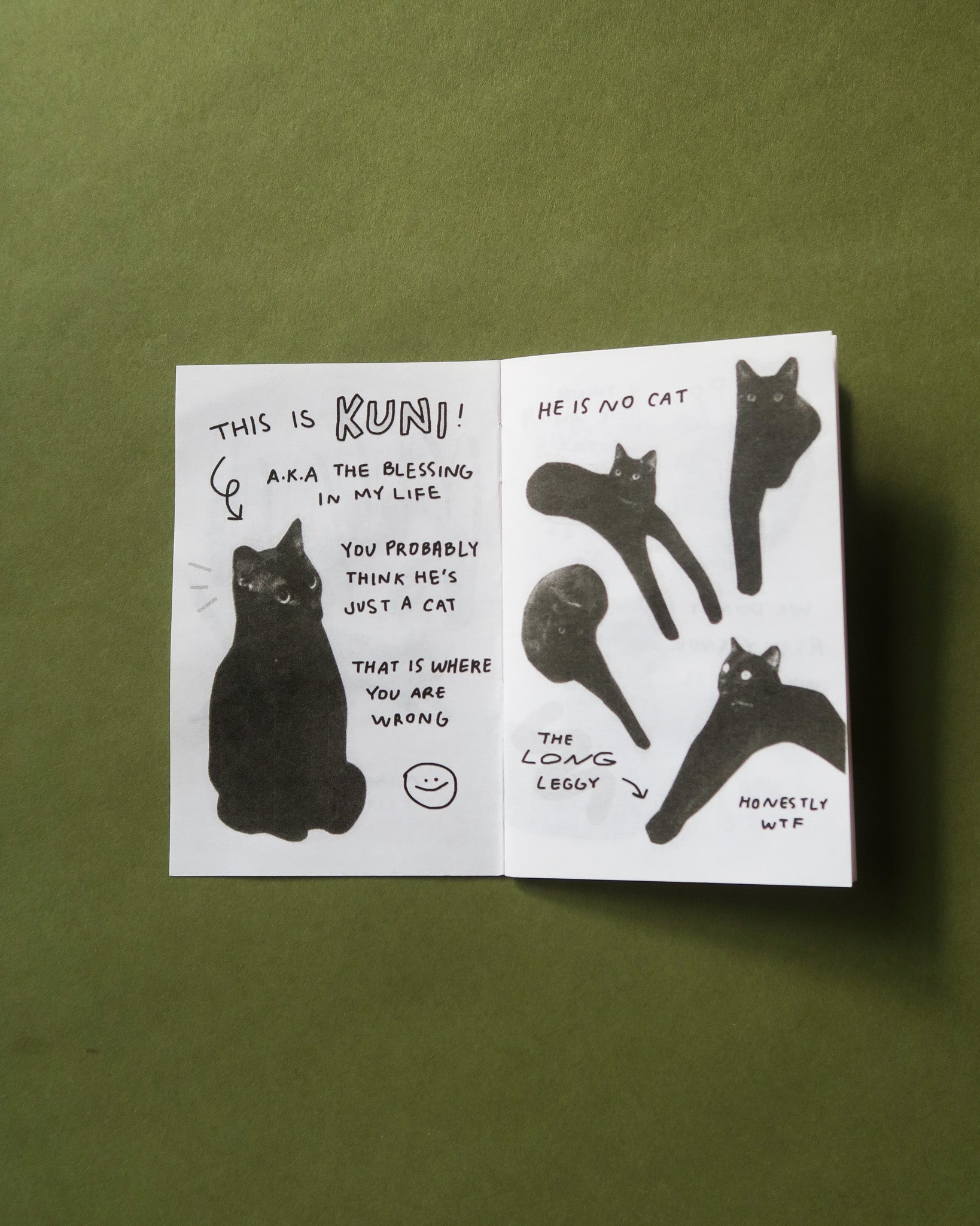 Kuni Zines