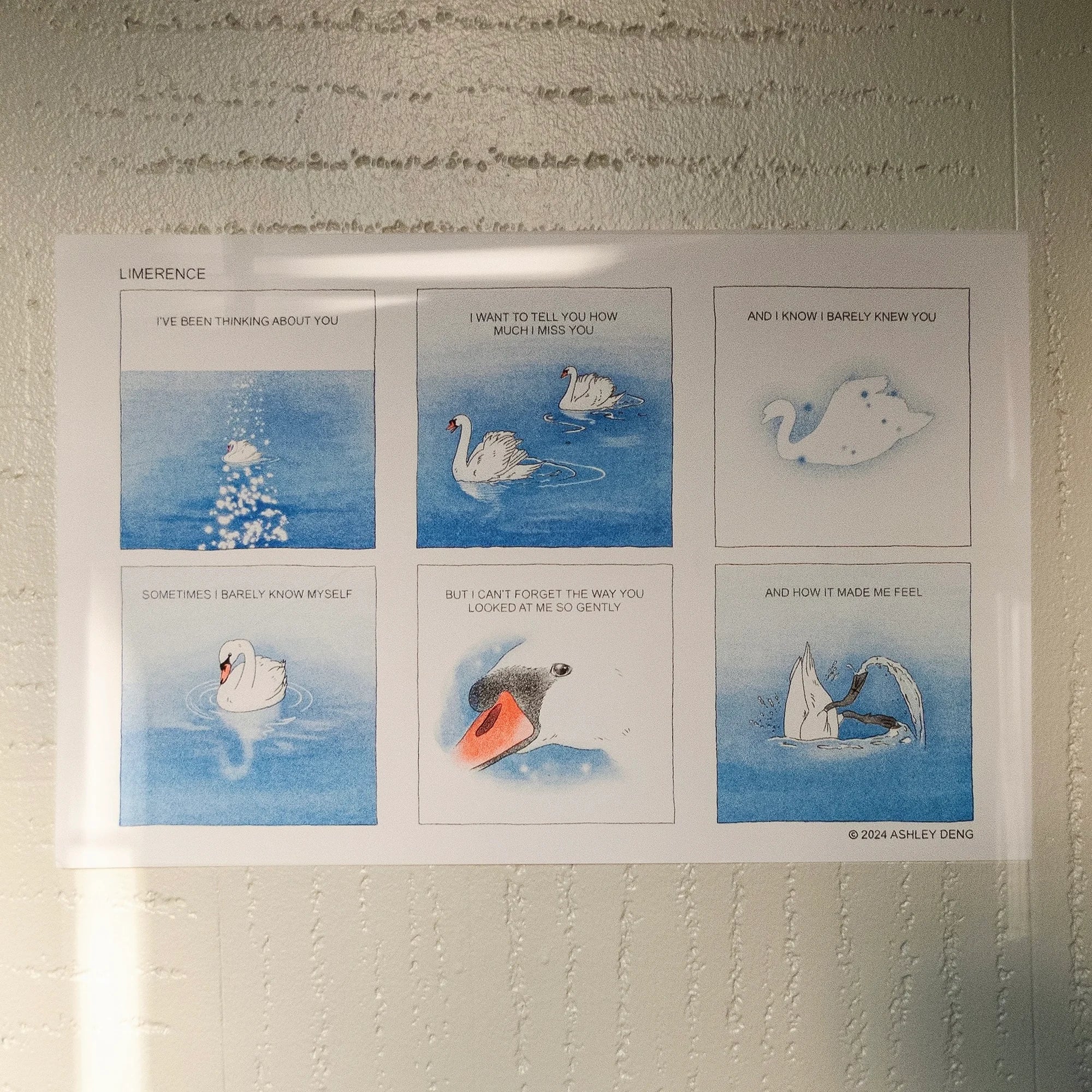 Limerence and Reflection (Prints by nakedpomelo)