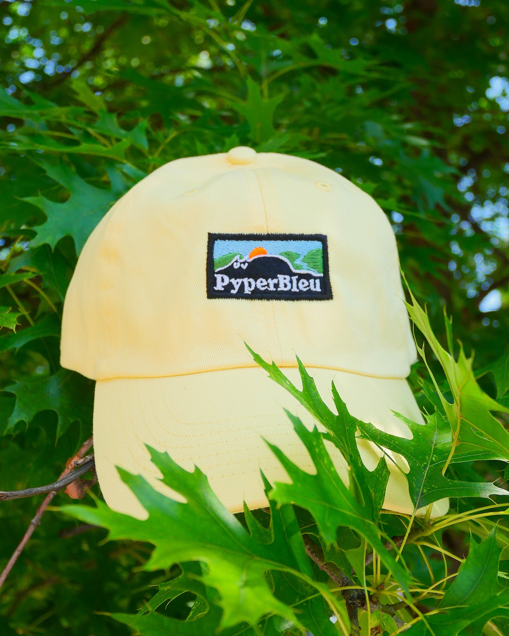 Outdoor Cat Dad Hat
