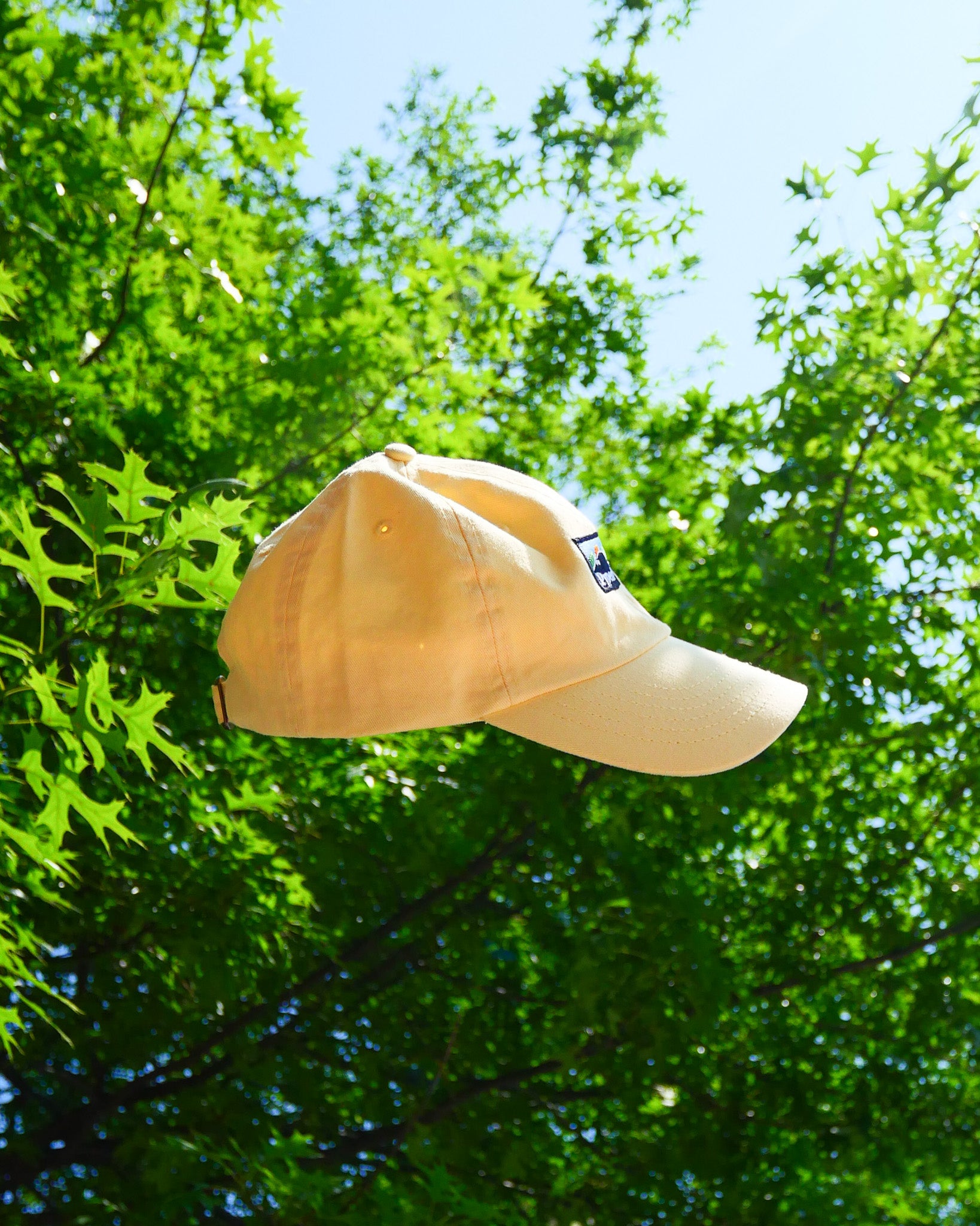 Outdoor Cat Dad Hat