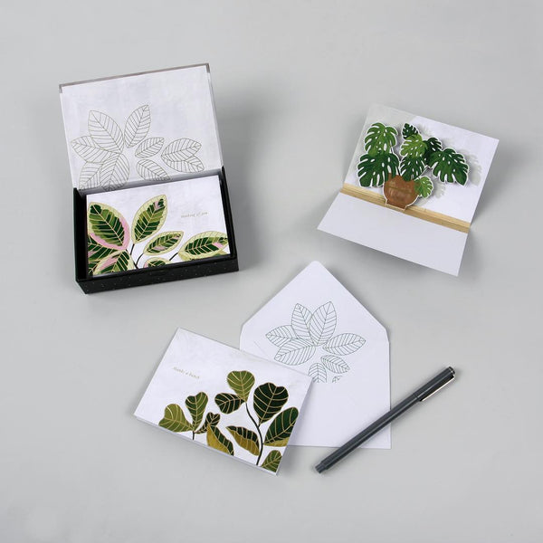 Pop-Up Boxed Notes Sets